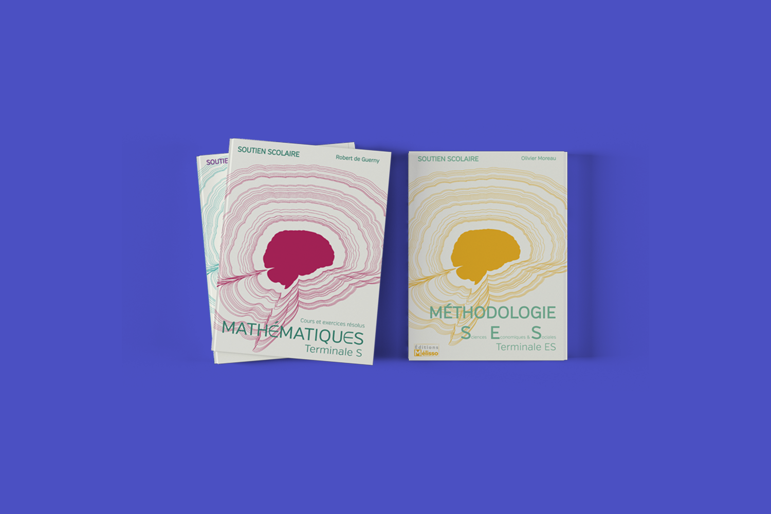 mockup of book's cover