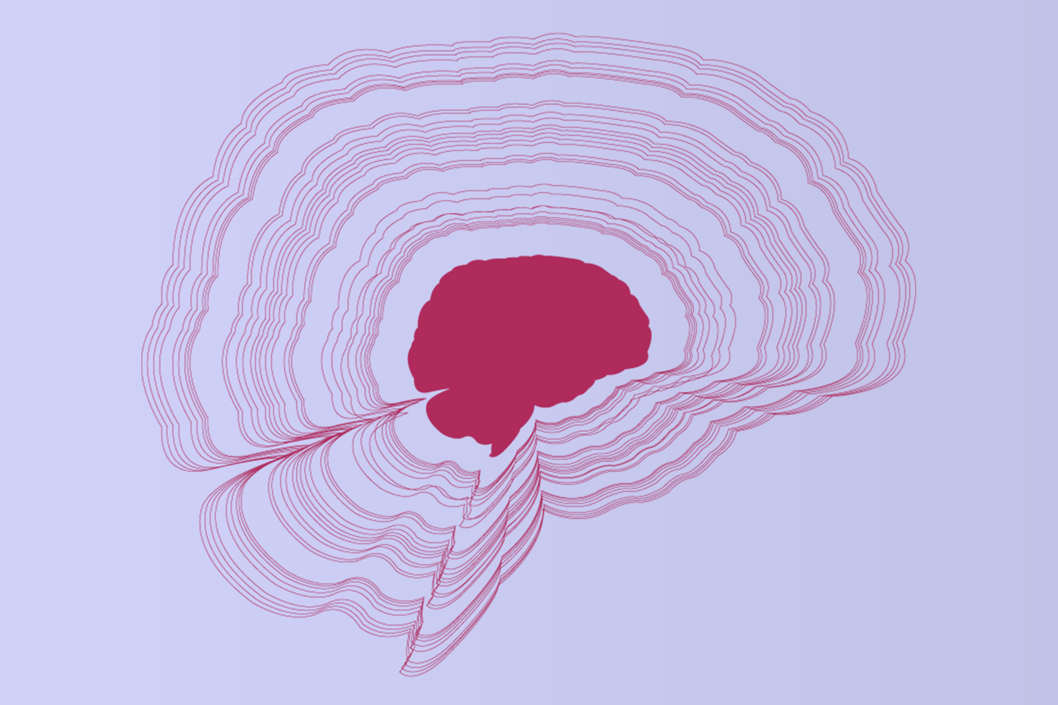 illustration of the brain that is on every cover of Melisso Edition books