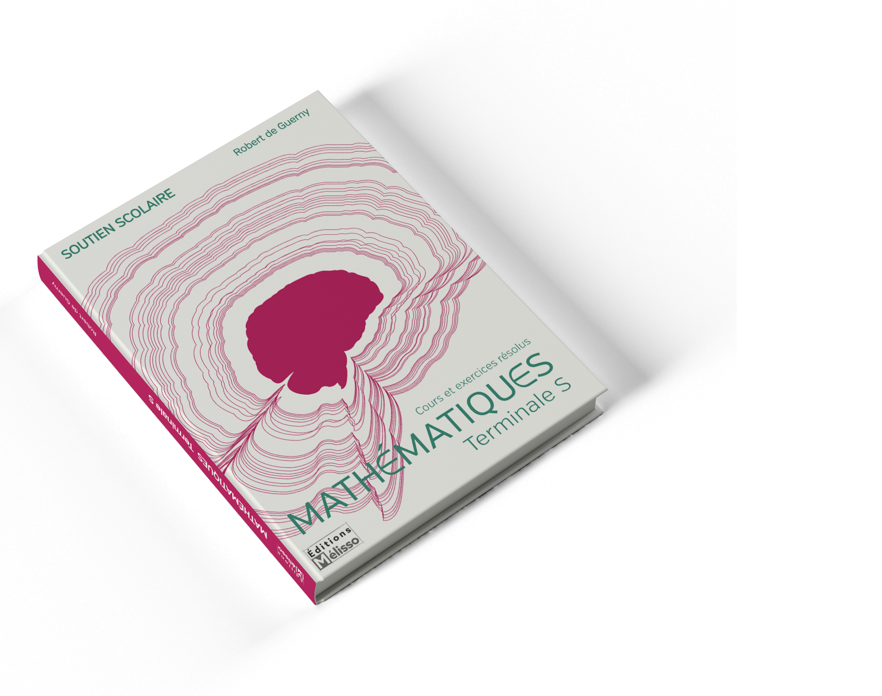 mockup of a Mathematic's cover book